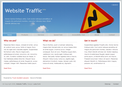 Website Traffic Layout 1
